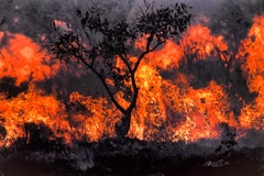 By Fire And Sword 3, The Amazon, Brazil