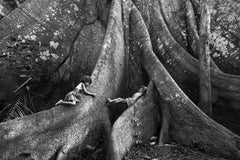 Landscape Photography