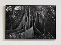 Children and the Sumauma II, Barcelos, Amazon, Brazil