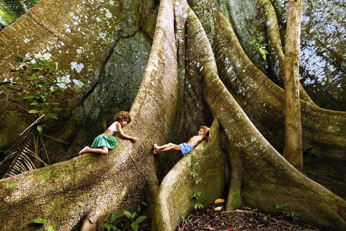 Araquém Alcântara Landscape Photograph - Children and the Sumauma III, Barcelos the Amazon Forest, Brazil