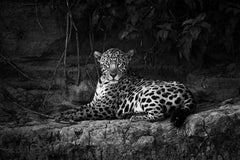 Jaguarete 9, Amazonas, Brasil