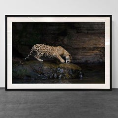 Jaguarete #12, Brazil