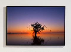 Lagoa Gaiva, Pantanal von Mato Grosso, Brasilien