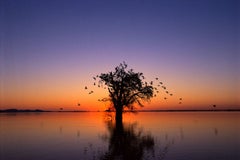 Lagoa Gaiva, Pantanal von Mato Grosso, Brasilien