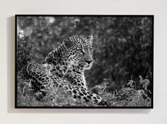 Leopard II, Tanzania