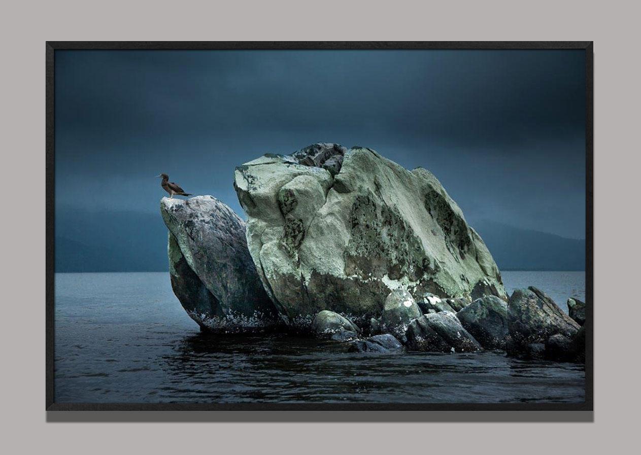 Pedra do Sapo, Parco Nazionale Superagui, Brasile - Photograph di Araquém Alcântara