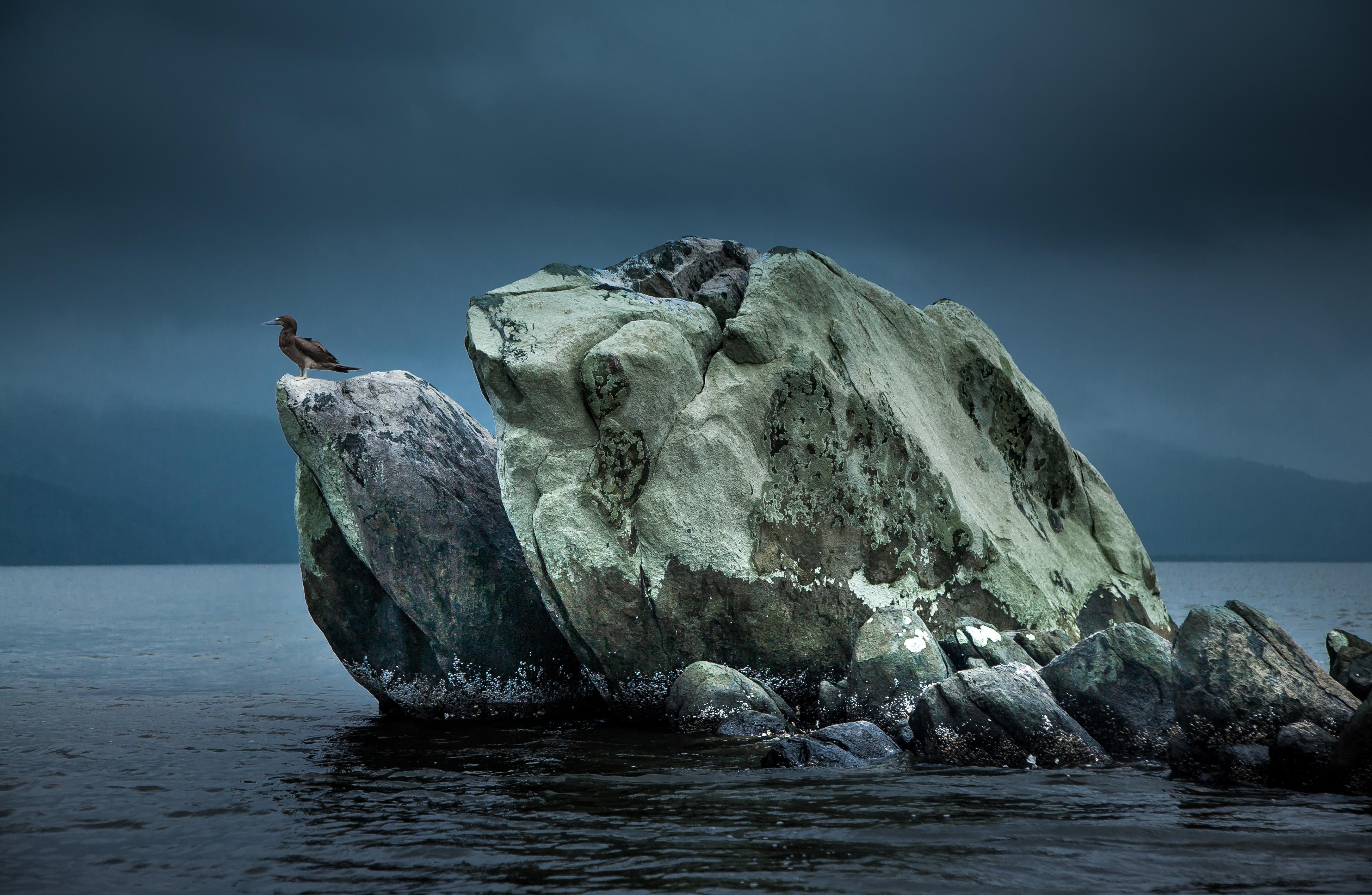 Color Photograph di Araquém Alcântara - Pedra do Sapo, Parco Nazionale Superagui, Brasile
