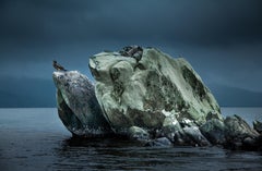Pedra do Sapo, Parco Nazionale Superagui, Brasile