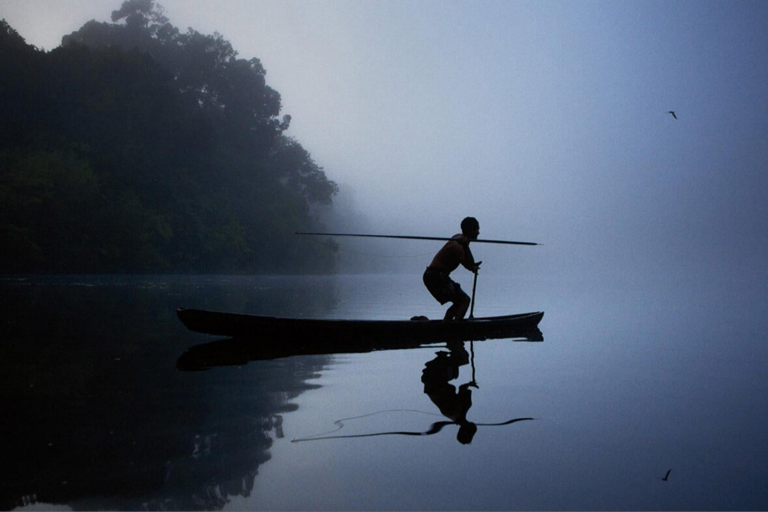 Pescador De Pirarucu II, Rio Jurua Amazon, Brazil