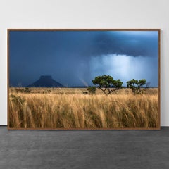 Rain in Serra Geral National Park, Tocantins, Brazil (Photography)