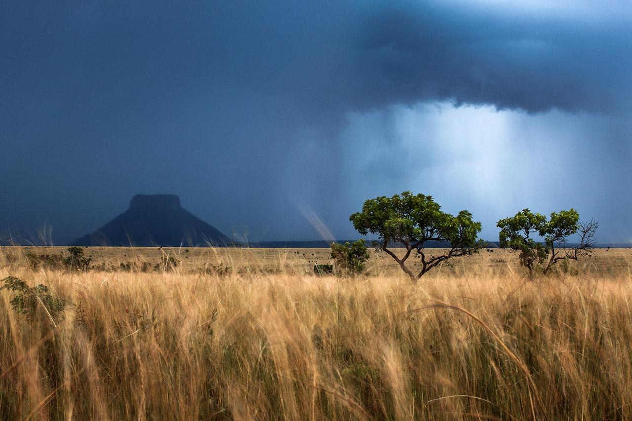 Araquém Alcântara Landscape Photograph – Rain im Serra Geral National Park, Tocantins, Brasilien (Fotografie)