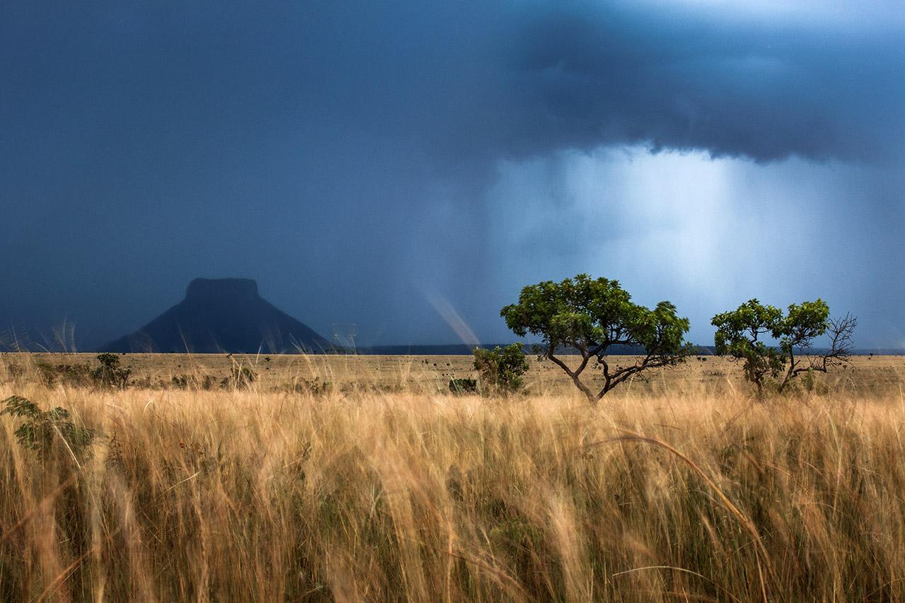 Araquém Alcântara Landscape Photograph - Rain in Serra Geral National Park, Tocantins, Brazil (Photography)