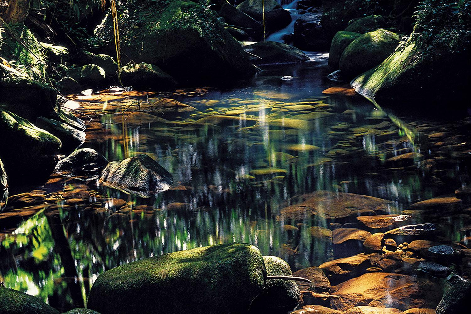 Riacho Da Cachoeira Grande Ilha Do Cardoso, Brazil