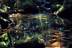 Riacho da Cachoeira Grande, Ilha do Cardoso, Brasile