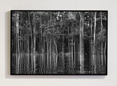 Rio Negro Detail 1, Amazon, Brazil