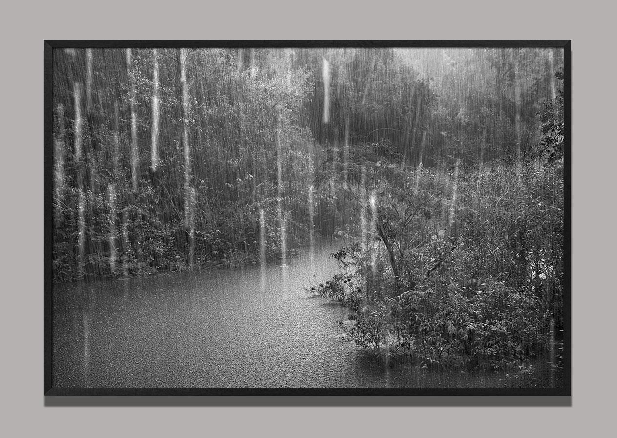 Araquém Alcântara Black and White Photograph - Rio Negro (detail 1), The Amazon, Brazil