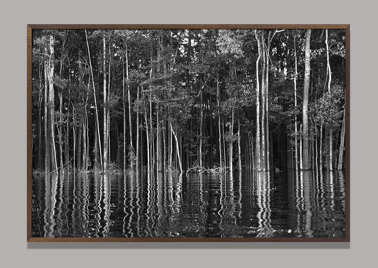 Rio Negro (detail 2), The Amazon, Brazil - Photograph by Araquém Alcântara