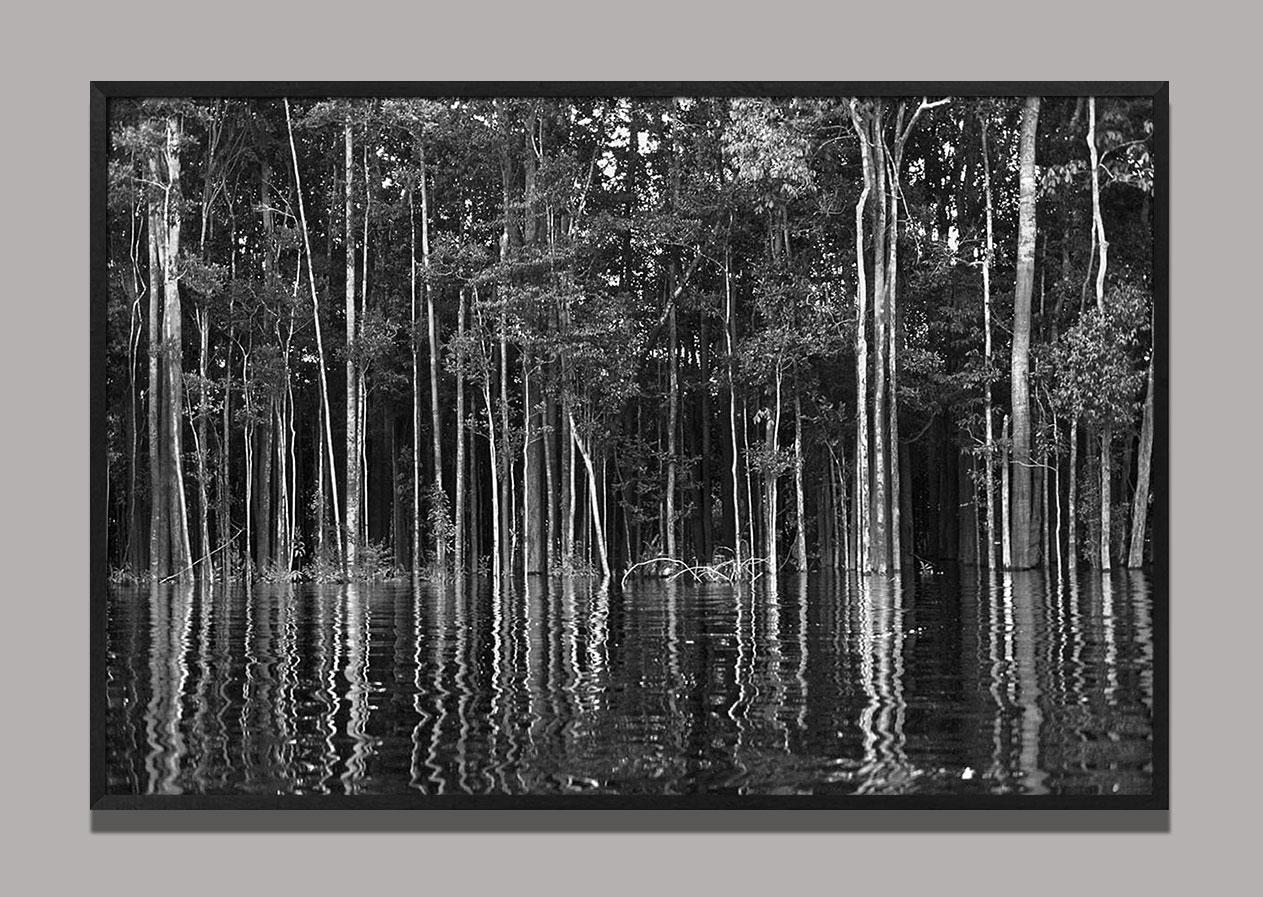 Rio Negro (detail 2), The Amazon, Brazil - Contemporary Photograph by Araquém Alcântara