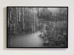 Rio Negro Detail I, Amazon, Brazil