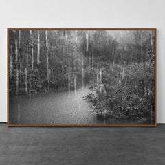 Rio Negro, Detail I, The Amazon Forest, Brazil