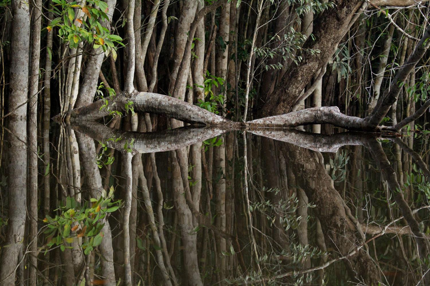 Rio Preto Da Eva, Amazon, Brazil