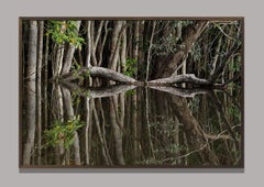 Rio Preto da Eva, The Amazon, Brazil