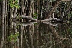 Rio Preto da Eva, The Amazon, Brazil