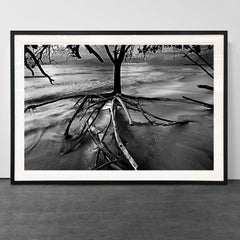 Roots II, Cumuruxatiba Beach, Bahia, Brazil