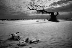 Seca, Lagoa Do Peixe, Brasilien