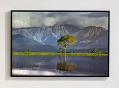 Serra Do Amolar I, Pantanal del Mato Grosso do Sul, Brasile