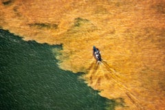 Tapajos-Amazonas-Erlebnis, Santarém, Pará, Brasilien