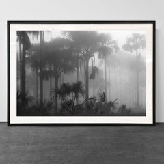 Veredas de Buritis I, Parco Nazionale Grande Sertão Veredas, Minas Gerais, Brasile