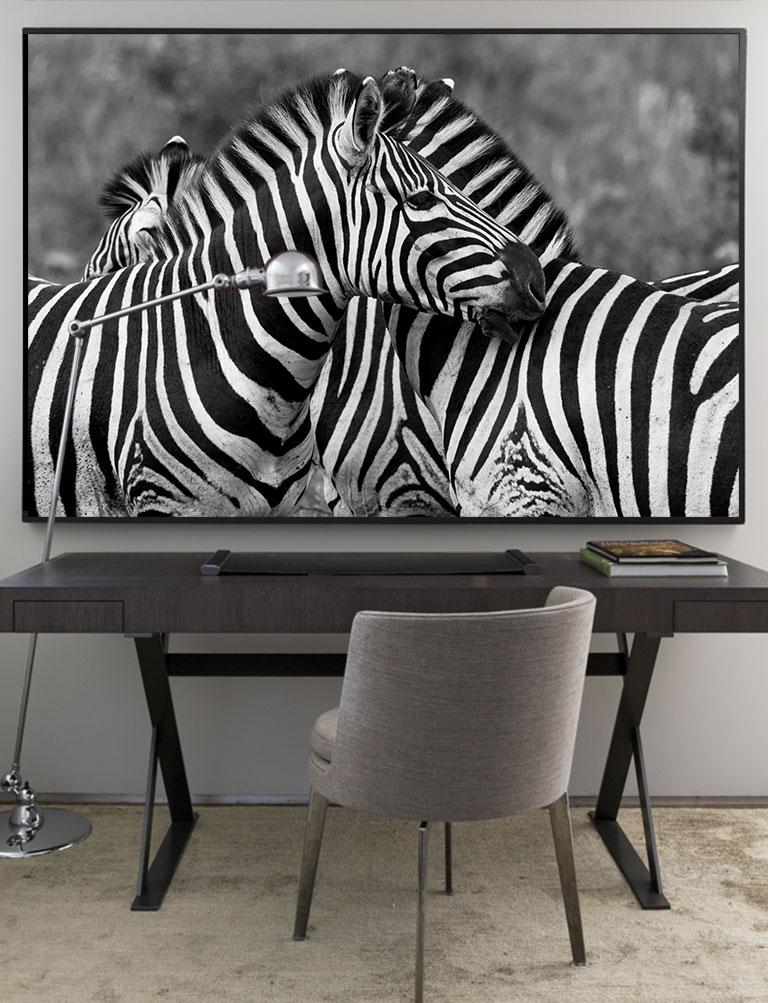 Zebras, Tanzanie, Afrique - Contemporain Print par Araquém Alcântara