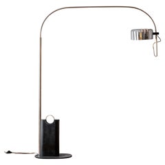 Lampade da terra in metallo