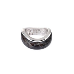 Arc Ring in Silver and Nummite