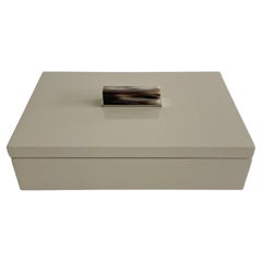 Arcahorn Champagne Lacquer Stainless Steel and Horn Box