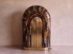 Arcana Resin and Brass Wardrobe / Collectors Cabinet by House of Jaipur