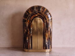 Arcana Resin and Brass Wardrobe / Collectors Cabinet by House of Jaipur