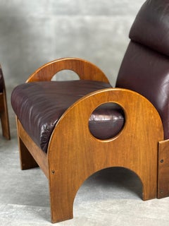 Arcata Chairs by Gae Aulenti for Poltronova, 1960s, Set of 2