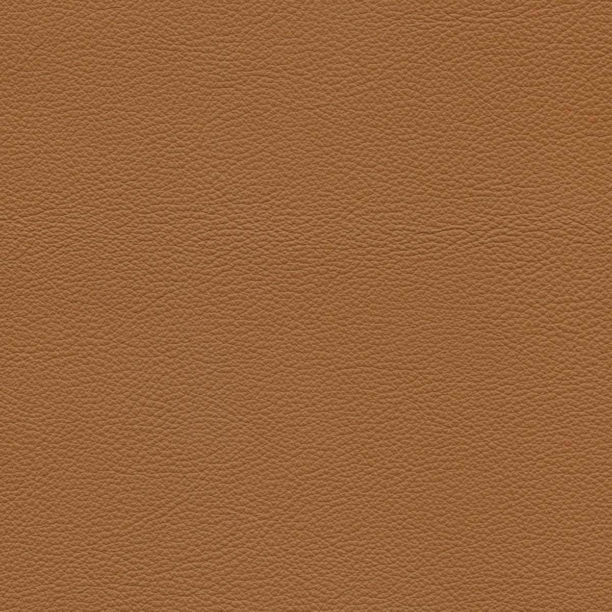 Moderne Fauteuil Archibald en cuir véritable en marron clair Pelle SC 66 Inde en vente