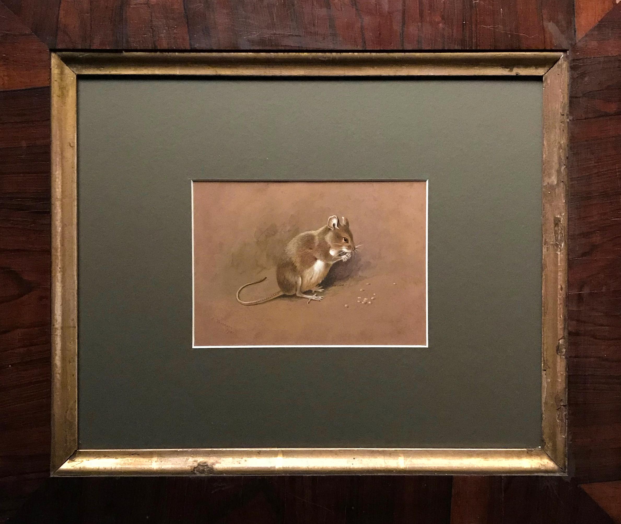 A field mouse - Painting by Archibald Thorburn