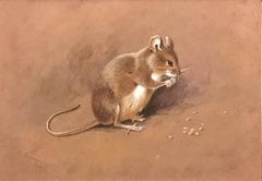 Une souris à champs