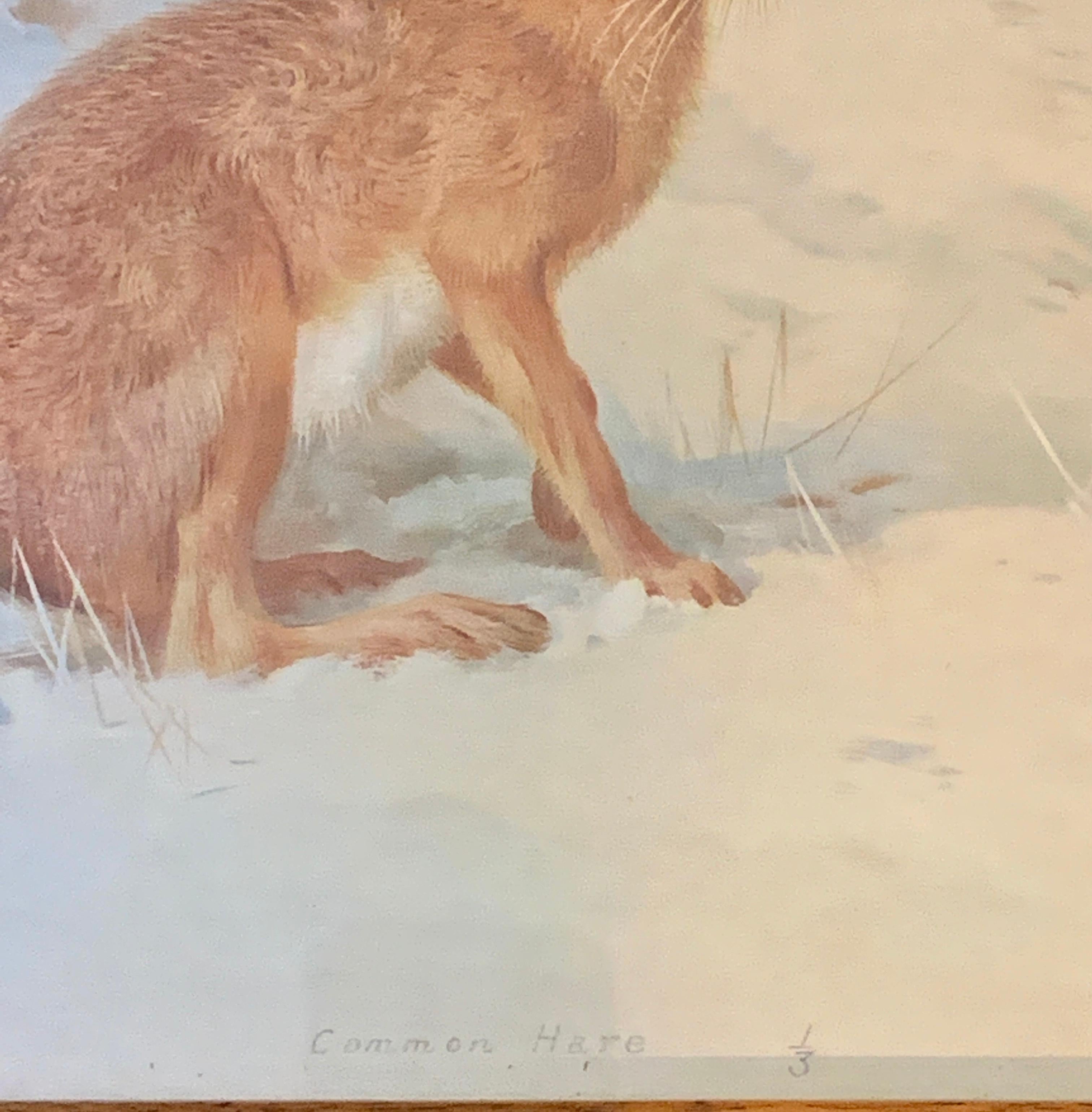 Inglés principios del siglo XX, Una liebre común  en un paisaje - Print Victoriano de Archibald Thorburn