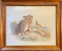 English early 20th century, An Irish Hare and a Mountain hare in a landscape 