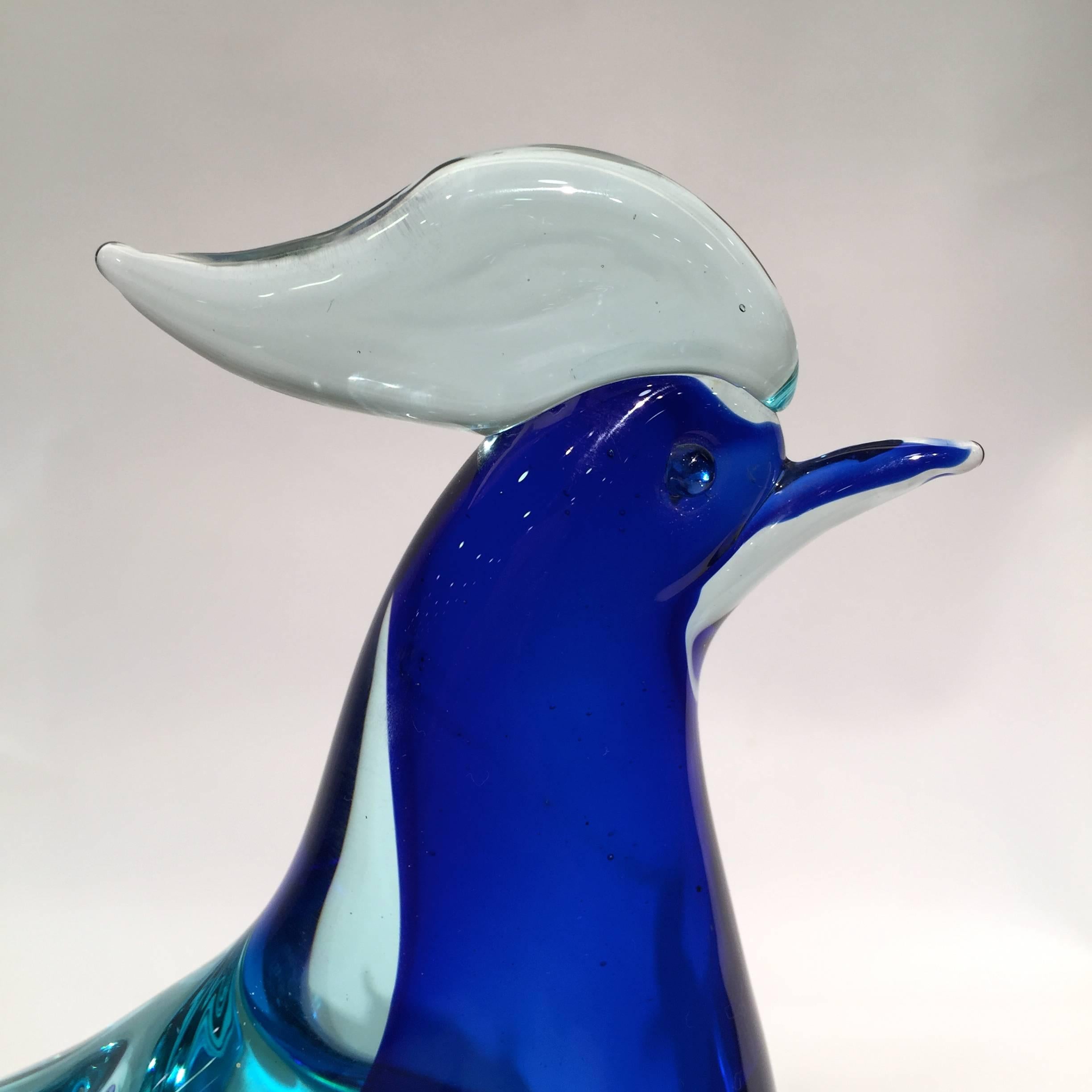 Archimede Seguso 1950 blue cobalt cock in Murano glass.
