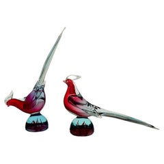 Archimede Seguso italian bicolor 1950 Murano Glass pheasants pair.