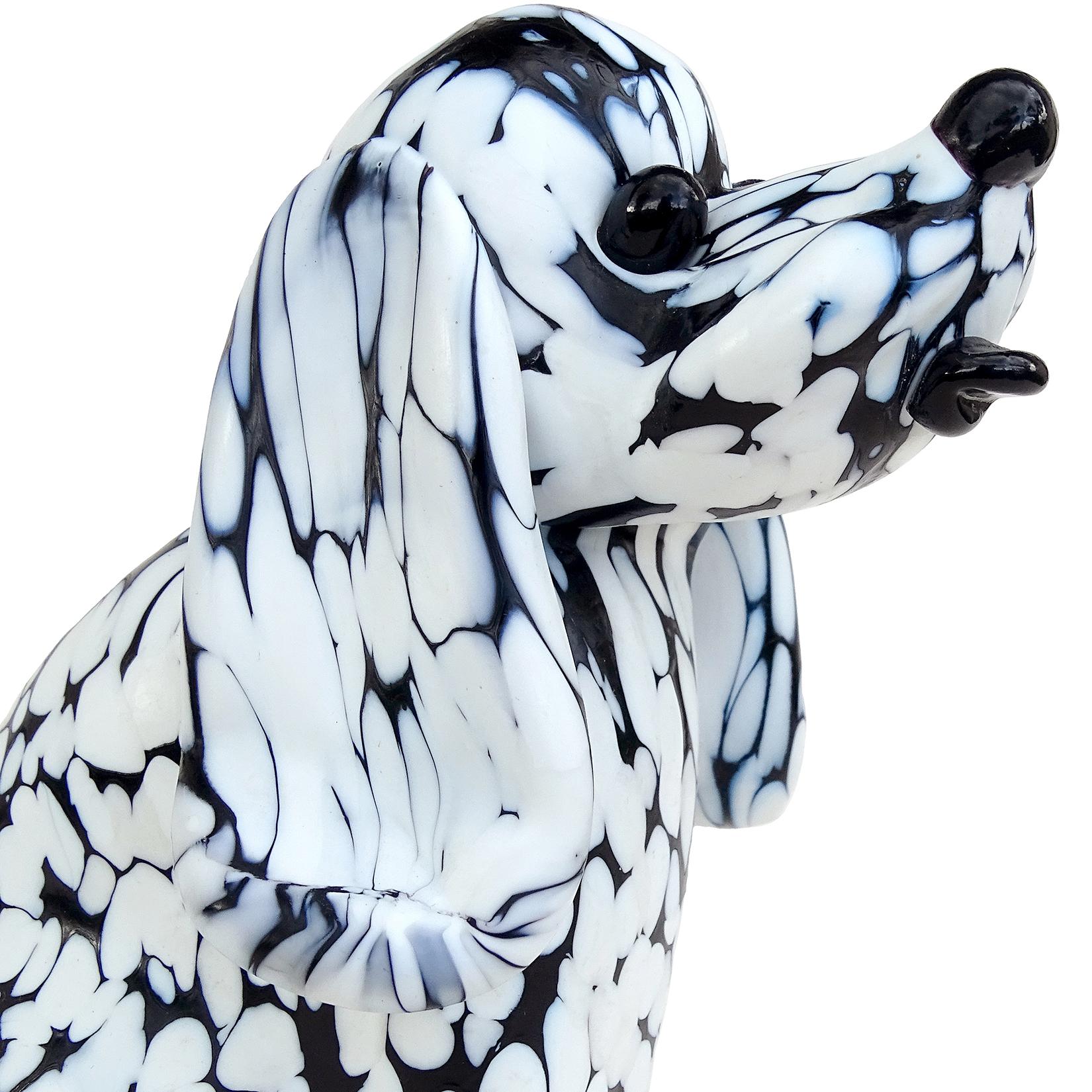 white murano dog