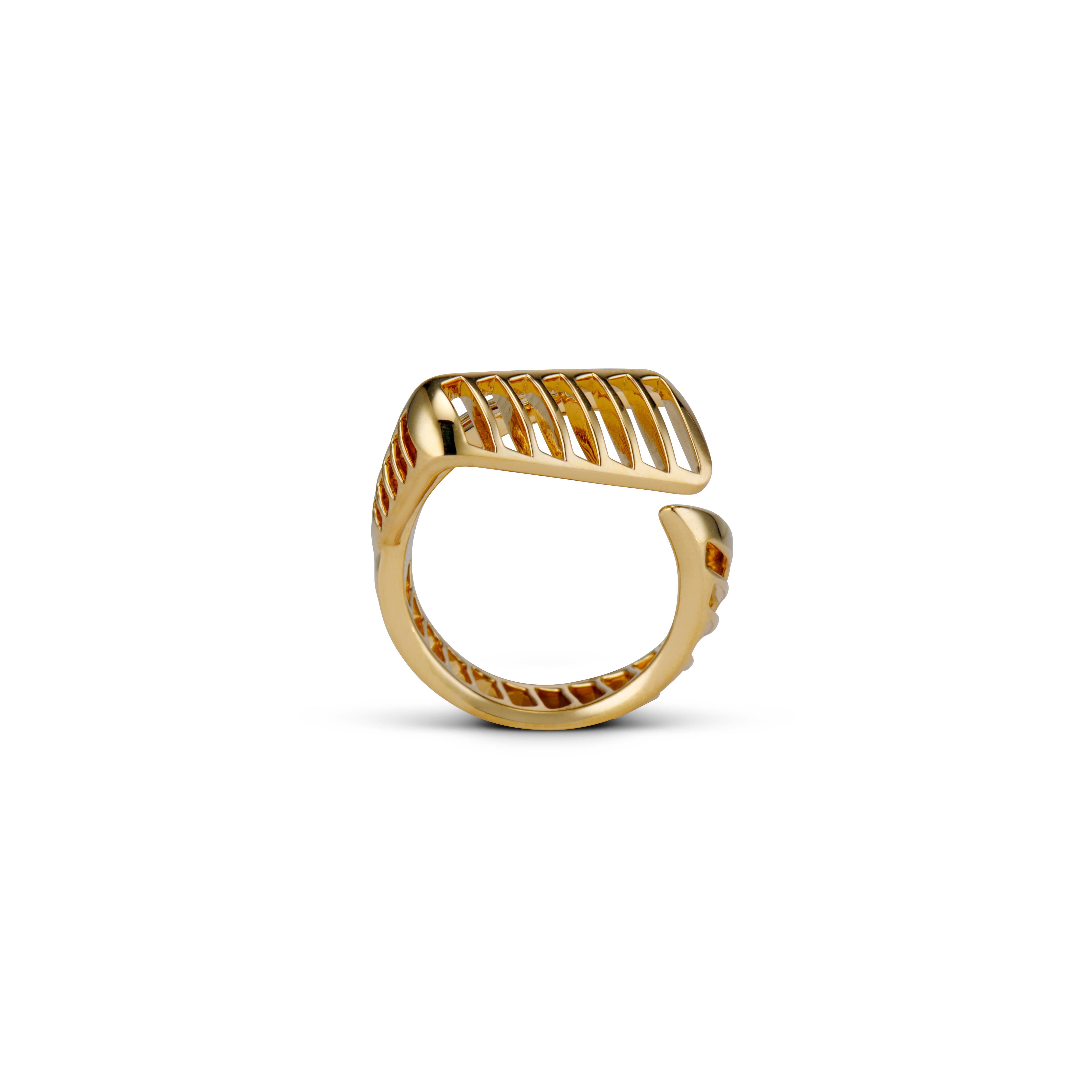 architecture ring