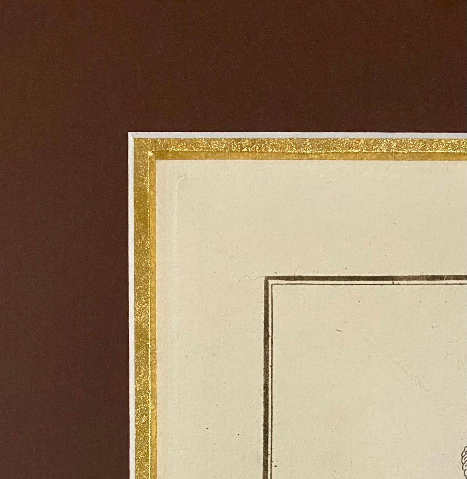 Acquaforte architettonica, 