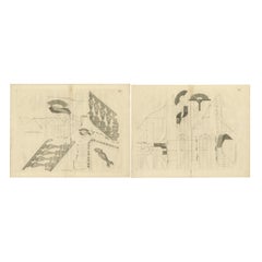 Architectural Grace: Van der Horst's Staircase Artistry, 1739